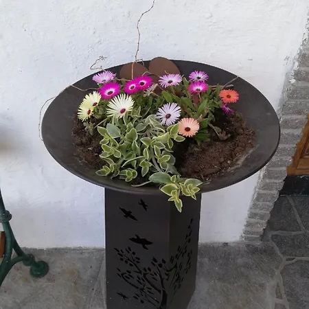 Fruehstueckspension Alpenrose Pensjonat