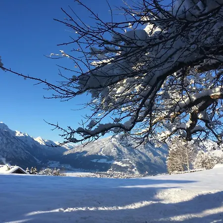Alpenrose Iselsberg