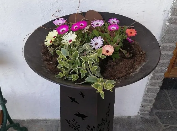 Fruehstueckspension Alpenrose Casa de hóspedes