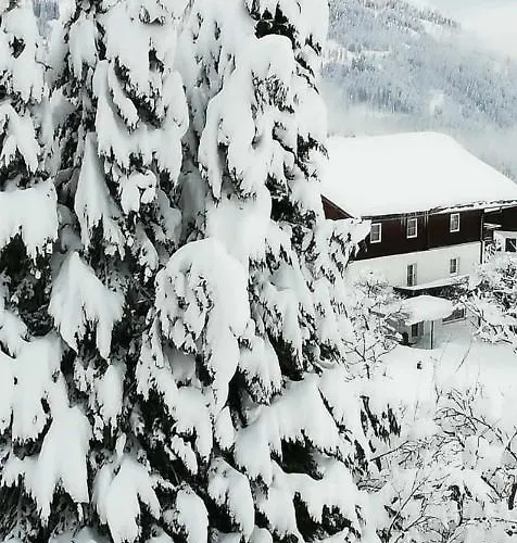 Fruehstueckspension Alpenrose