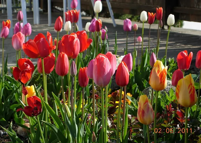 Casa de hóspedes Fruehstueckspension Alpenrose