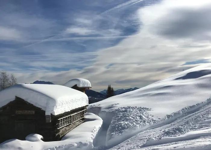 Fruehstueckspension Alpenrose Casa de hóspedes 3*