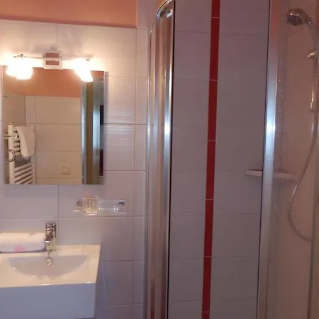 Guest house Fruhstuckspension Alpenrose 3*