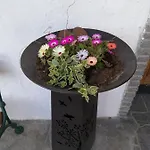 Fruehstueckspension Alpenrose Pensjonat