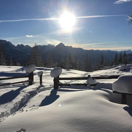 Pensjonat Fruehstueckspension Alpenrose